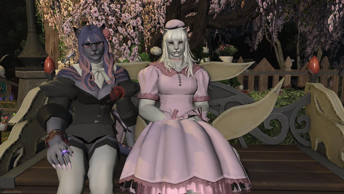 EllaDisaster's tweet photo. Two very lovely cattes here to wish you a good morning!! 

@RomaRosenthorn https://t.co/SQhdl5Ae5T