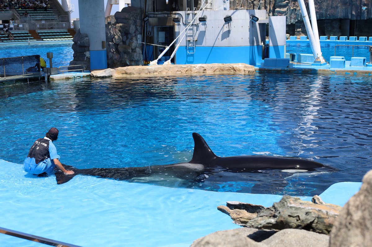 orca5558's tweet photo. 高1になっても、下ネタで笑う。まだガキですがこれでドパドパするドパガキでもある。 https://t.co/eF5FdFhJ1X