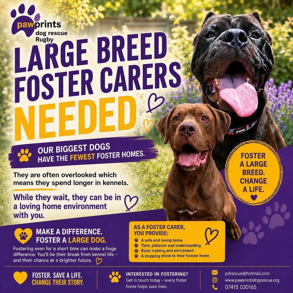 PDRescue's tweet photo. #FosterFriday

We're based in #Warwickshire but other areas considered if you're able to help with travel to appointments etc. 💜

More info/to apply:

https://t.co/9uxtYyda6v https://t.co/7EdrvJUnkB