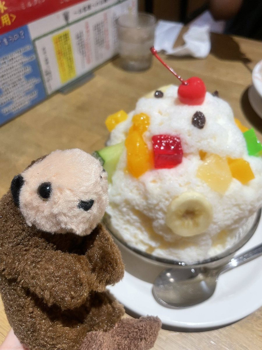 monmon_monchann's tweet photo. むじゃきのシロクマかき氷を食べたぜ！
今度はスペシャルに挑戦したい！🦦
#ぬい撮り #ぬい活 https://t.co/eU8ynoQ8NV