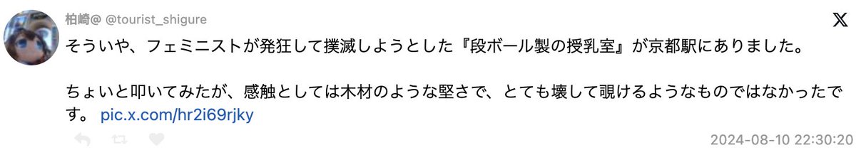 yamada10ra's tweet photo. 赤ん坊が居るわけでもないのに、ダンボール授乳室に近づいて叩いてみたとドヤ顔でポストする独身男性がこれ言ってるのすごいな。
一体どっちが「異常者」なんだろうね。 https://t.co/Oagcjigeaz