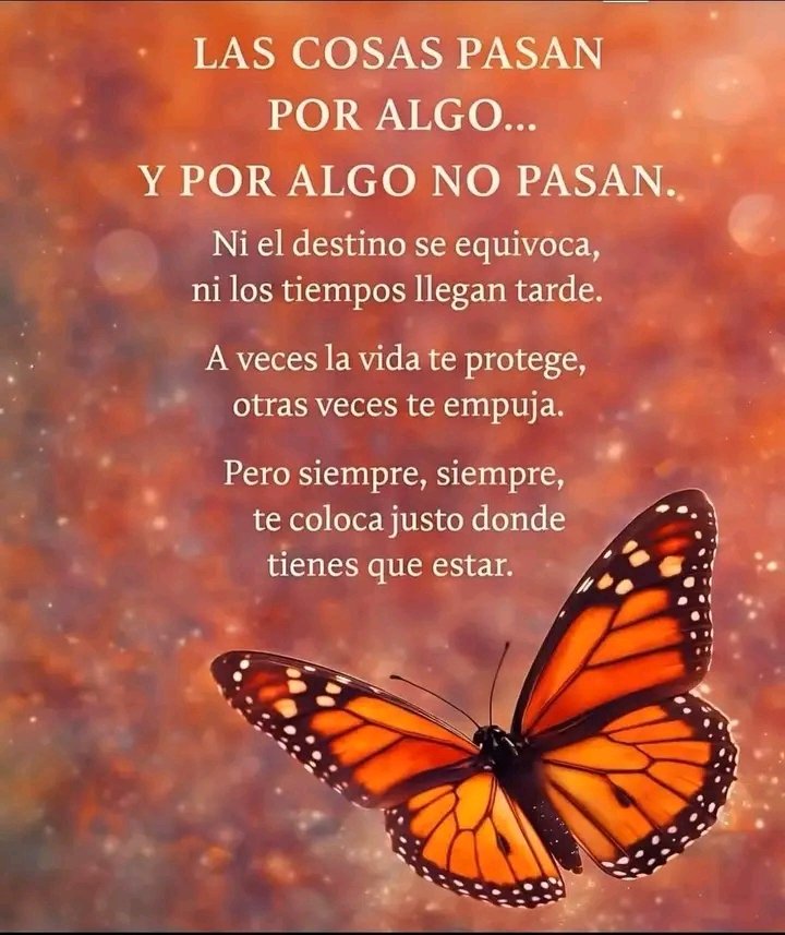 HugoNuez5e's tweet photo. @Kimbluegreen Y así es igual para ti maravilloso día 🫅🫶🤗🫡 https://t.co/Tl0DwBDpbt