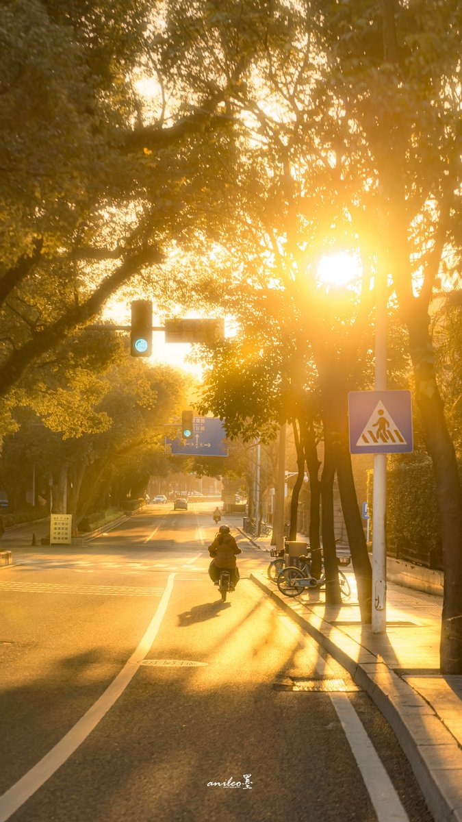 blakescott11451's tweet photo. Caught this random morning glow painting the empty street—city quiet hits different before the crowd shows up. Grateful for these tiny, unplanned street moments. https://t.co/7jwptkTOGG