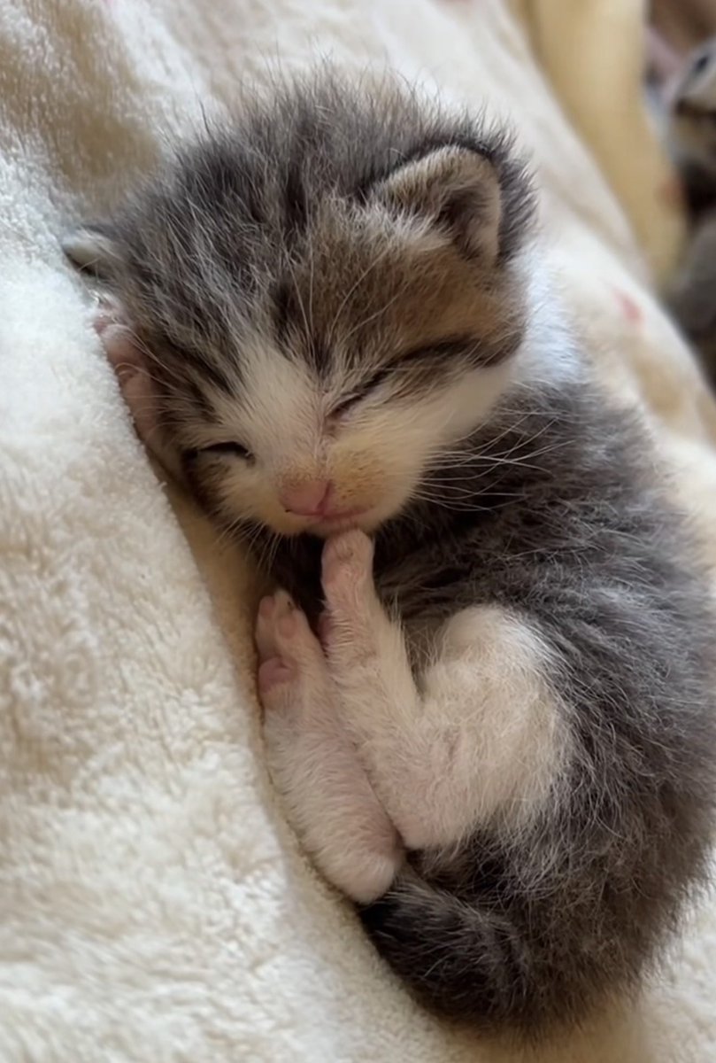 fruitpibble's tweet photo. sleeping on call https://t.co/Fx58EN4V9P