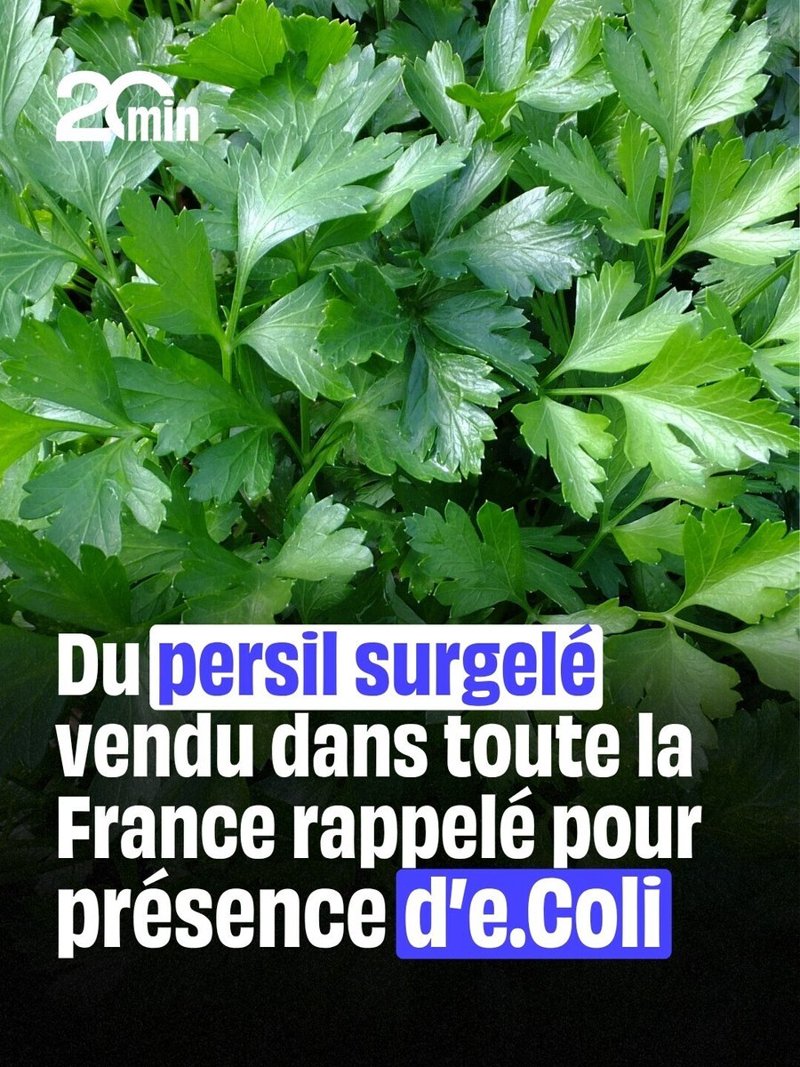 20Minutes's tweet photo. 🔴 N'EN MANGEZ SURTOUT PAS ⚠️
➡️ https://t.co/BszgokNphI https://t.co/ZJ4UcMwgqf