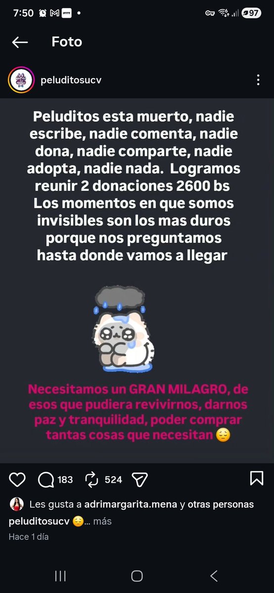 CervezaTipo's tweet photo. Rebranding manteniendo la misma comunicacion.

Clase magistral de PeluditosUCV ... ahora, solo PeluditosVE https://t.co/Z88jhh9cTy