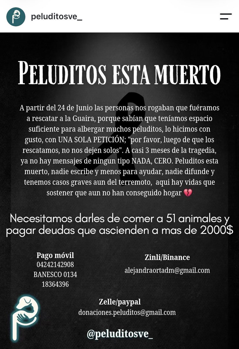 CervezaTipo's tweet photo. Rebranding manteniendo la misma comunicacion.

Clase magistral de PeluditosUCV ... ahora, solo PeluditosVE https://t.co/Z88jhh9cTy