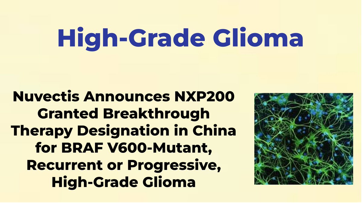 CheckOrphan's tweet photo. Nuvectis Announces NXP200 Granted Breakthrough Therapy Designation in China for BRAF V600-Mutant, Recurrent or Progressive, High-Grade Glioma - For More Information Visit  https://t.co/fkp4AQGP2T  @Nuvectis  #Glioma  #Brain_cancer  #Rare_Diseases  #Cancer https://t.co/hIgak5Phht