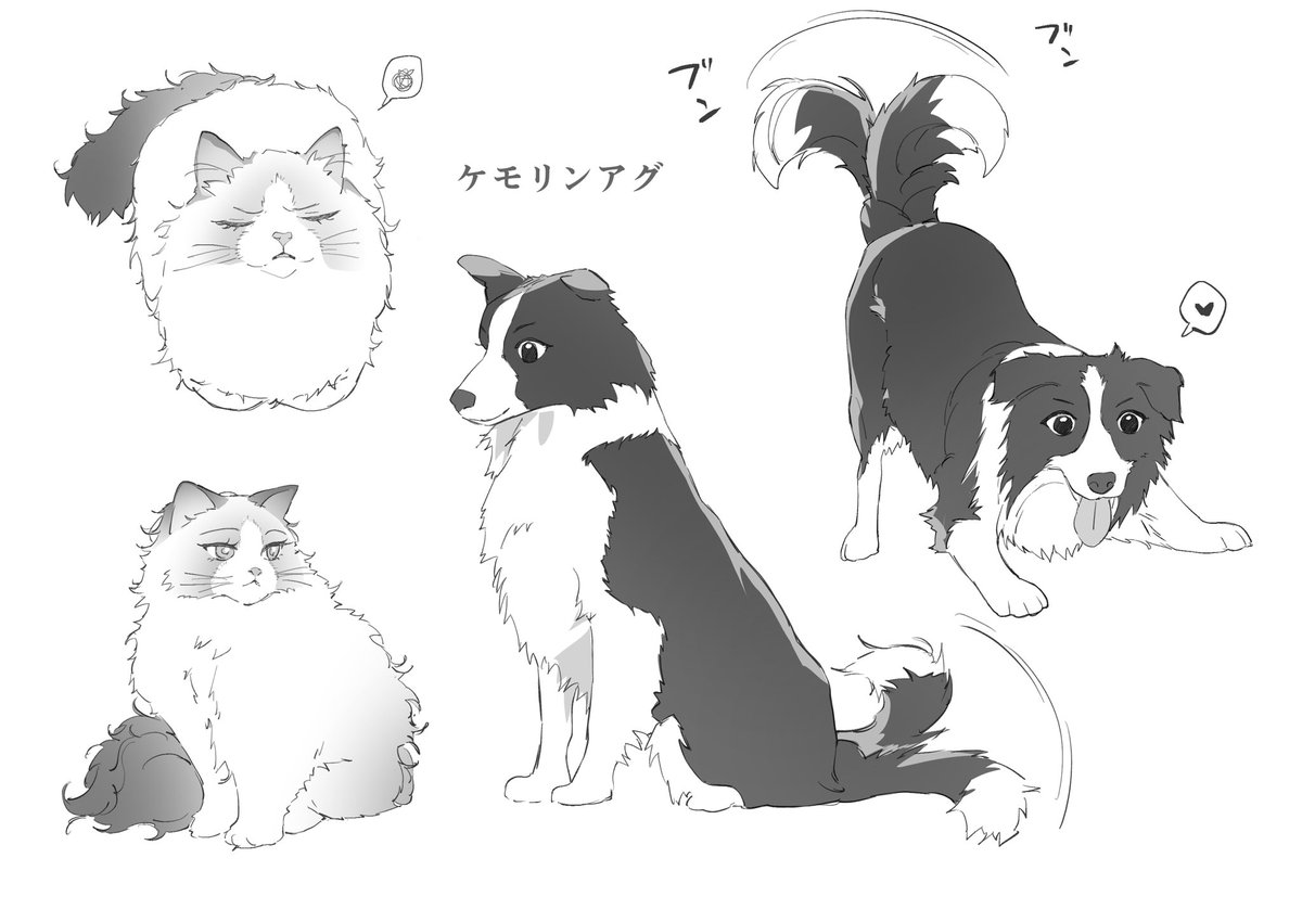 nataggg_sub's tweet photo. ケモリンアグ https://t.co/opy2O8BblT