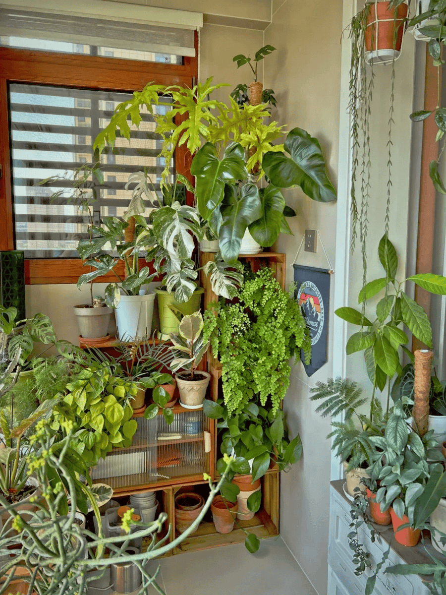 DheaYu4n's tweet photo. My tiny balcony that only had empty pots last spring now grows veggies u0026 flowers—slow, small wins make life sweet!， https://t.co/FZVnCzGMOn