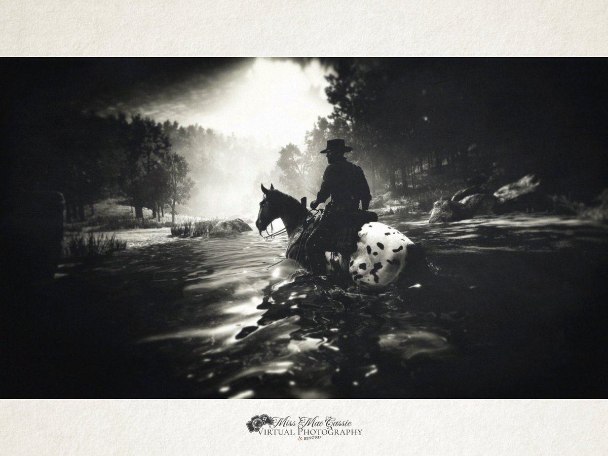 MissMacCassie's tweet photo. Roanoke Valley and Kamassa River at night
Game: #RDR2 #RedDeadRedemption2 | #VirtualPhotography #VPinBW https://t.co/iWWlYkIp09