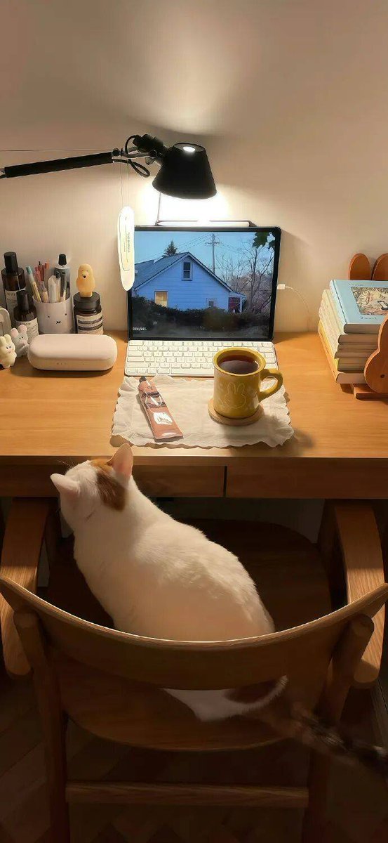 thientam761971's tweet photo. My cat curled up on my laptop as I worked—best coworker I never asked for. Cozy vibes, purr vibes, all good vibes only. https://t.co/YiTzrmLJ63