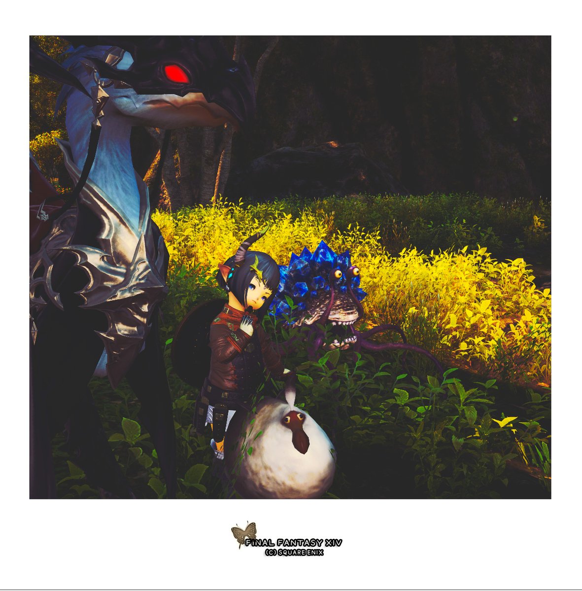 yuan_farewell's tweet photo. こ、これは…
(シャキーン)
【LIGHT PARTY】
チョ:どこへでもイケルーネ
(行けませんケド('ω'))
#ff14SS #voyage_note #菫青石の記憶 https://t.co/ld0SpOJMzI