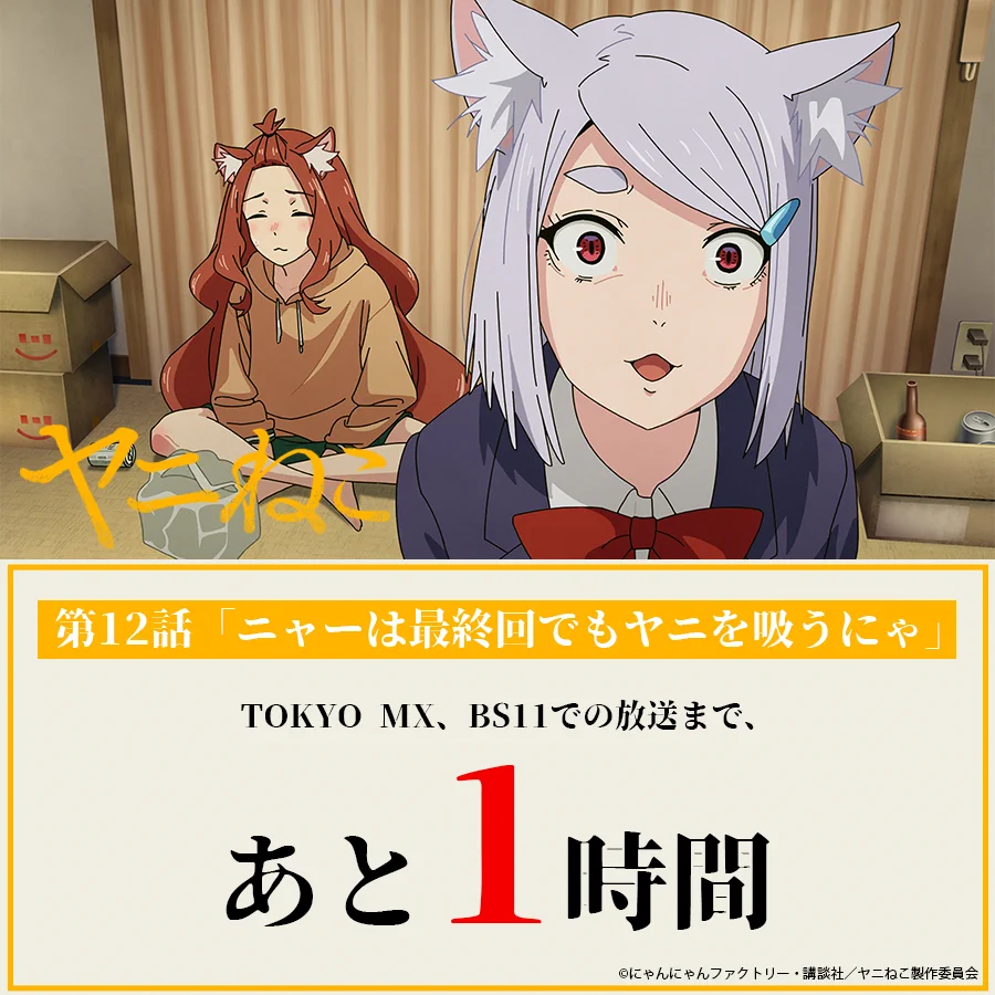 ꕤ︎︎にゃーさん専用ꕤ︎︎ ヤニねこ」TVアニメ公式 on X: 