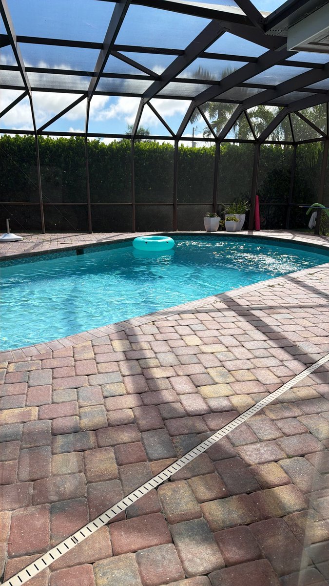 foreverwontend's tweet photo. Pool days with my copilot โ๏ธ๐พ #PoolDay #ESADog #MaxxMush #FloridaLife #RecoveryVibes https://t.co/ABuFbOe2fX