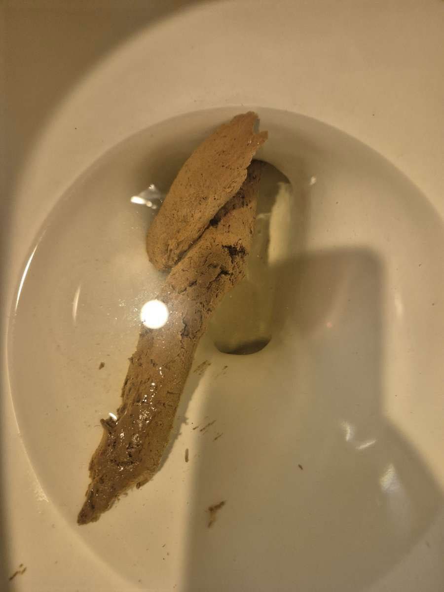TurdKingLogs's tweet photo. OPEN THAT MOUTH!!!! Say aaahhhhh! #scatturds #manturds 💩 https://t.co/RwMGwPLAuA https://t.co/v8co3nZoEo