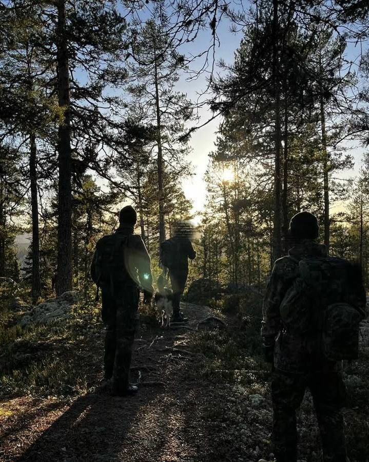 Military008 tweet picture