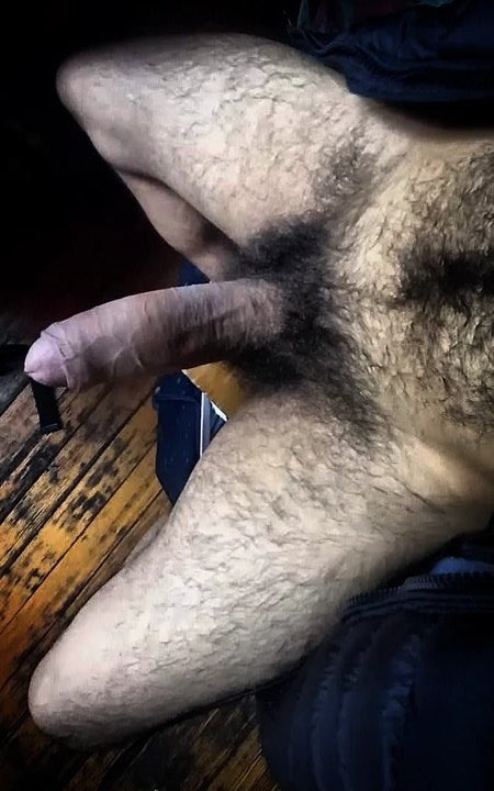dkingodzilla's tweet photo. Bush or armpit? https://t.co/UxFi9xNbpi