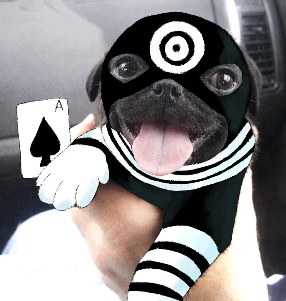 PabloGuerrak's tweet photo. cachorrinho mercenário https://t.co/KRfLw6QhPm
