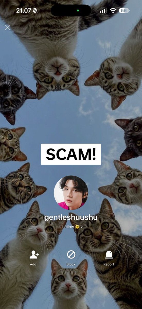gentleshushu's tweet photo. [HELP RTs ARE APPRECIATED]

Hallo aku baru dapat kabar yang kurang baik yaitu ada orang yang mengaku-ngaku jadi aku untuk melakukan penipuan di thread. Ijin meluruskan aku ngga ada akun thread ataupun sosmed lainnya yaa. Aku hanya promosi jualan di akun x : @gentleshushu dan shopee :  @jastipbygentleshushu (https://t.co/Uq25mFYxUp). Aku ngga jualan saldo RMB. Lalu untuk detail payment untuk transaksi MERCH KPOP juga cuma 1 yaitu atas nama R****A I******A, selain itu ‼️SCAM‼️

Please help report akun thread scammer👇🏻
https://t.co/aHZ3YHTx7u

Aku tidak bertanggung jawab atas kerugian yang ditimbulkan orang tersebut. Untuk itu aku minta tolong bantu juga share info ini supaya tidak ada yang jadi korban.

Thank you