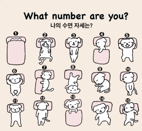 Horang_E2's tweet photo. 나는 7번처럼 자는데

다들 잘 때 자세 어떰?
 몇 번인지 하나씩 골라봐. https://t.co/OOKO7TLICQ