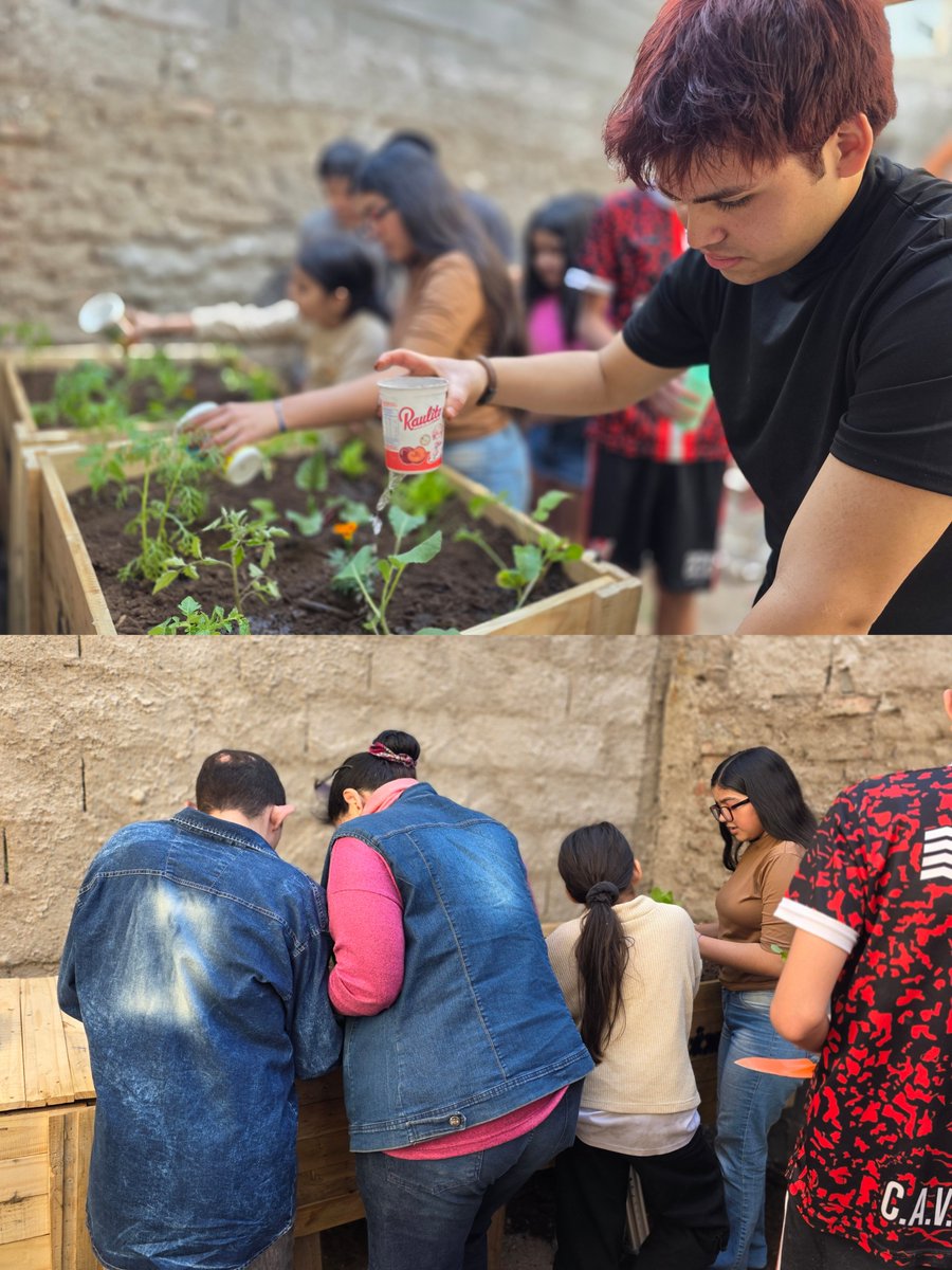 Josefermanelli's tweet photo. Más que decir, nos gusta hacer 🍃Llegamos a la Huerta Comunitaria N°40. Porque nadie se salva solo y que el Estado tiene que estar presente donde las comunidades se organizan para hacerle frente a la crisis económica. Mira que linda quedó la Huerta en El Arca de Los Niños. https://t.co/Cq2p6EftvC