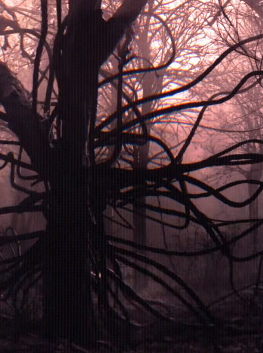 HYPEX's tweet photo. POSSIBLE 'SLENDER MAN x FORTNITE' TEASER https://t.co/EyLLsbzwXd