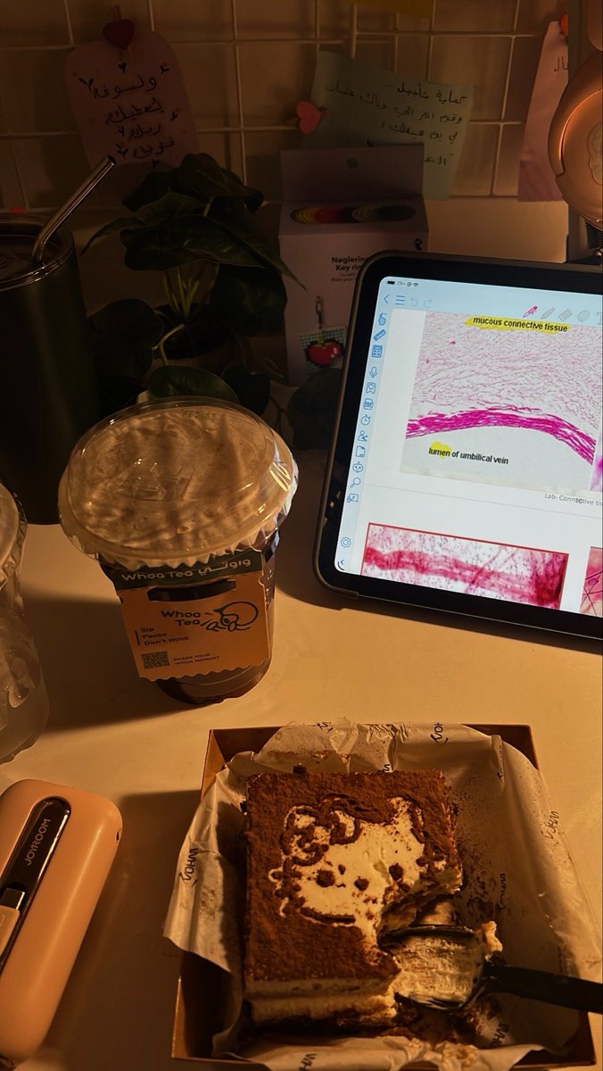 92roast's tweet photo. Solo study date ⭐️ https://t.co/Xaxi7KCvys