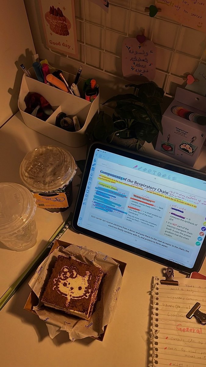 92roast's tweet photo. Solo study date ⭐️ https://t.co/Xaxi7KCvys