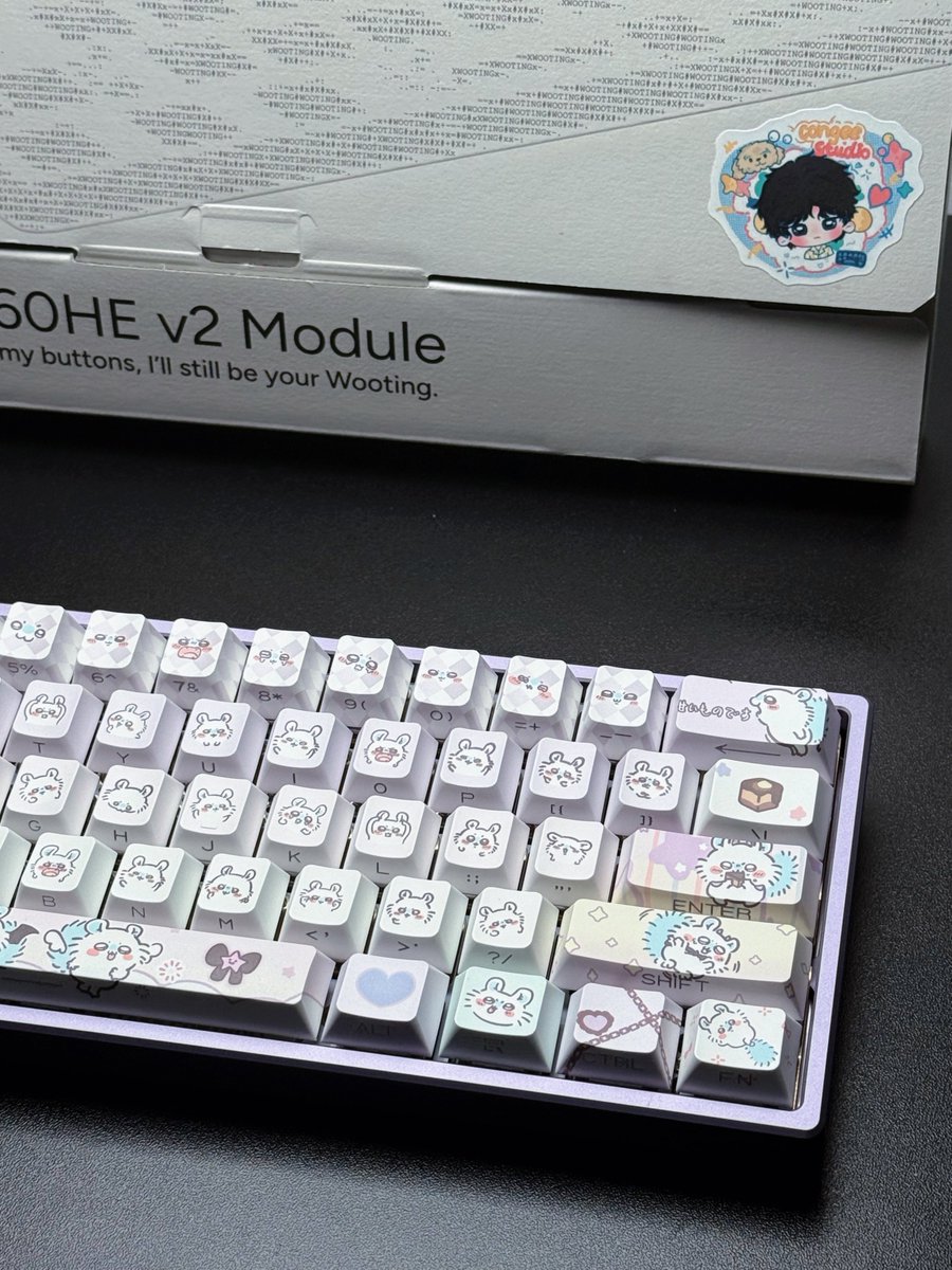 NvsionGear's tweet photo. 🐰🐰 https://t.co/Qr7Rw1sggk