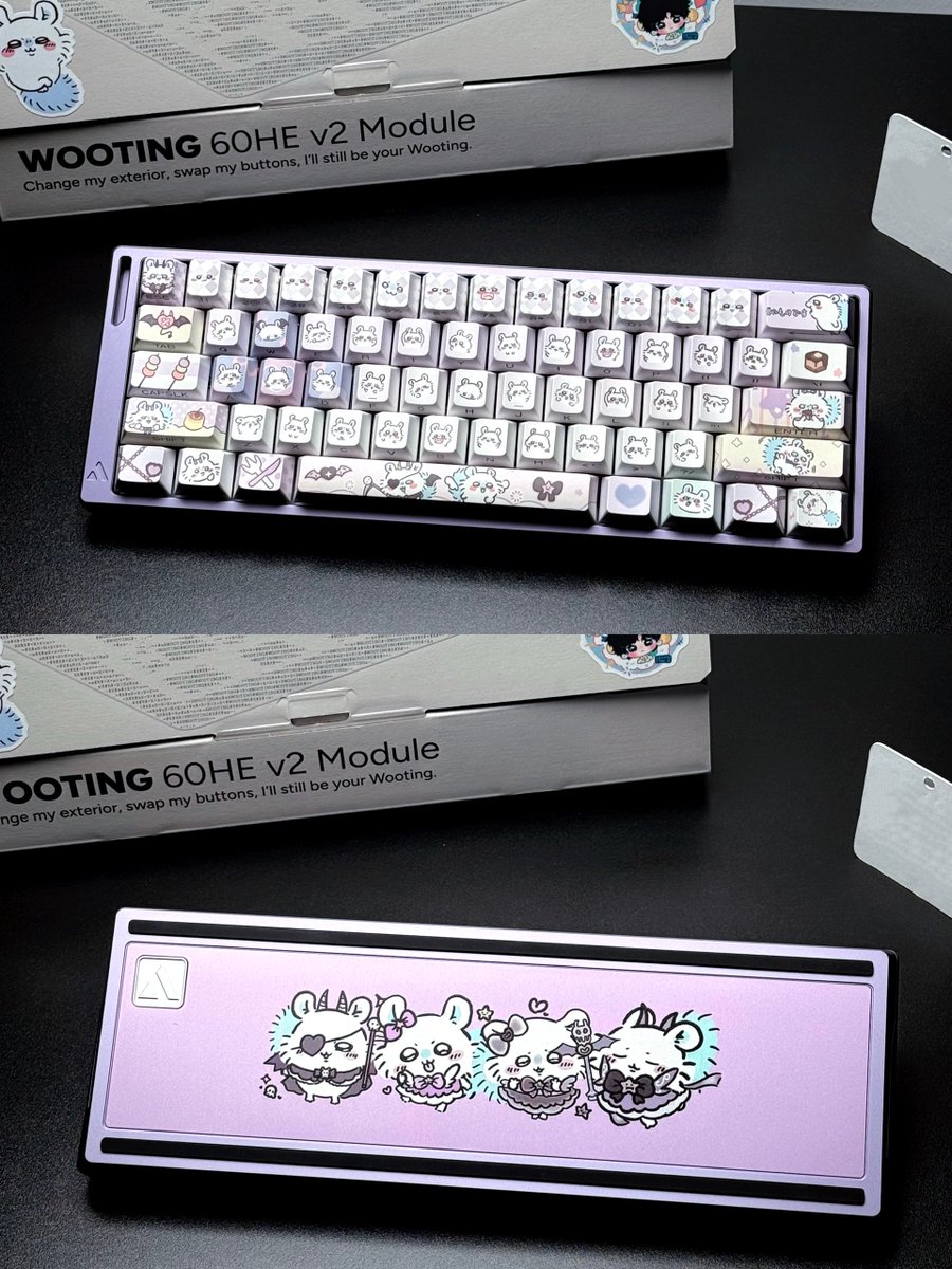 NvsionGear's tweet photo. 🐰🐰 https://t.co/Qr7Rw1sggk