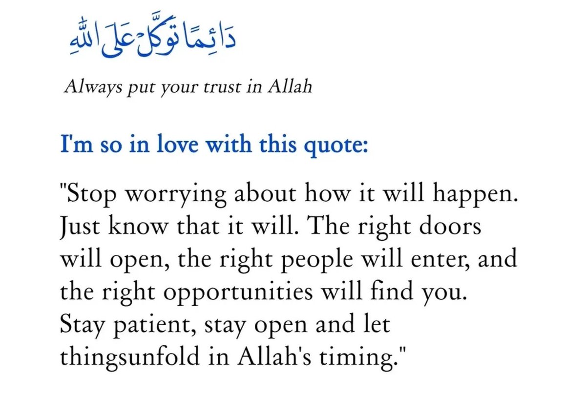 NotUrAvrageMiah's tweet photo. https://t.co/98cwISKJIi