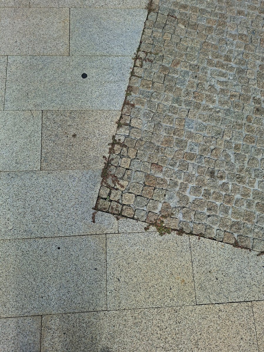 feefifofumfloor's tweet photo. $floor &amp; friends @flooronrh https://t.co/PehrJ7r0z5