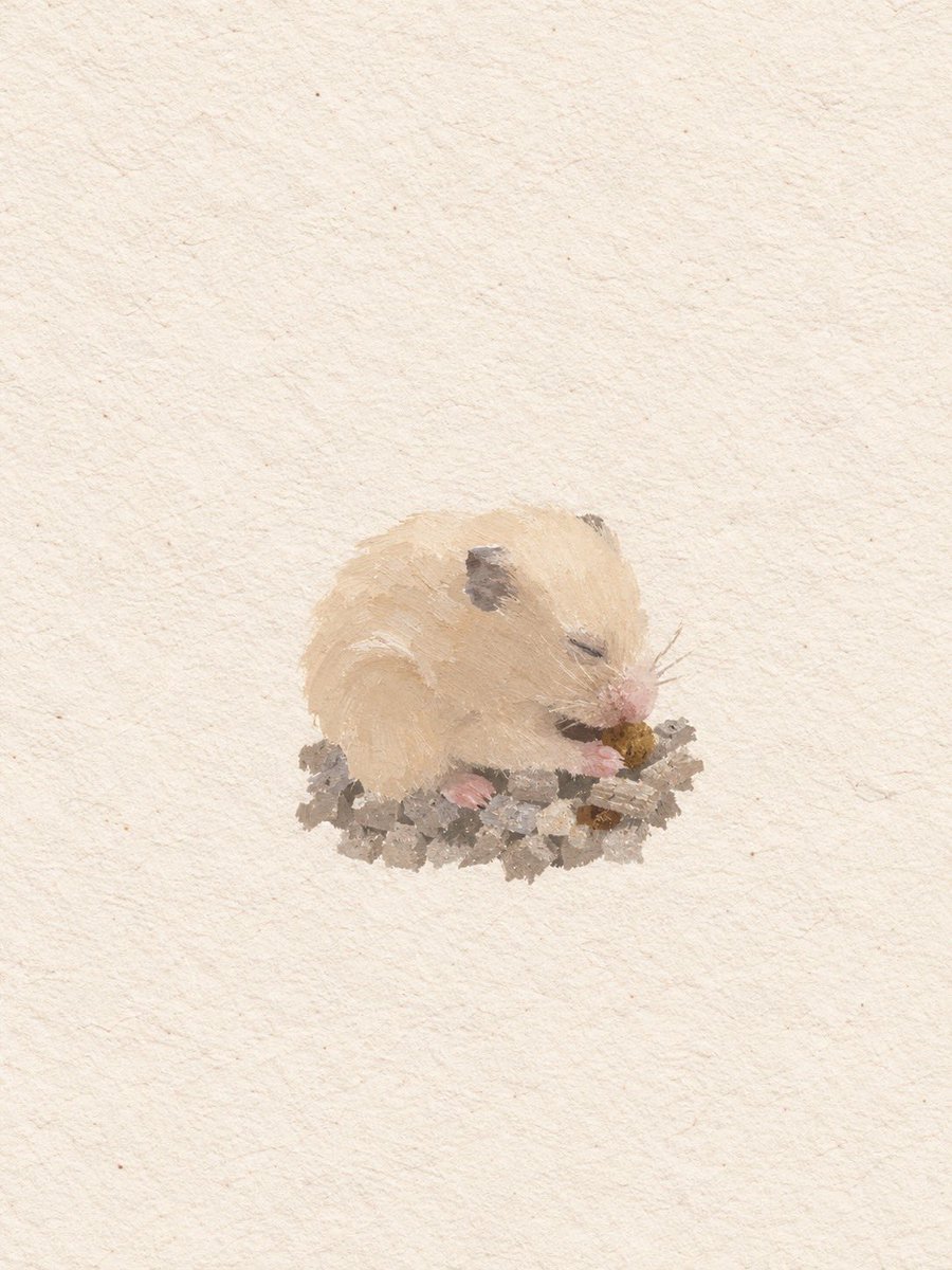 kiamot_3's tweet photo. うちのハムです https://t.co/3dz3Iq9aoW