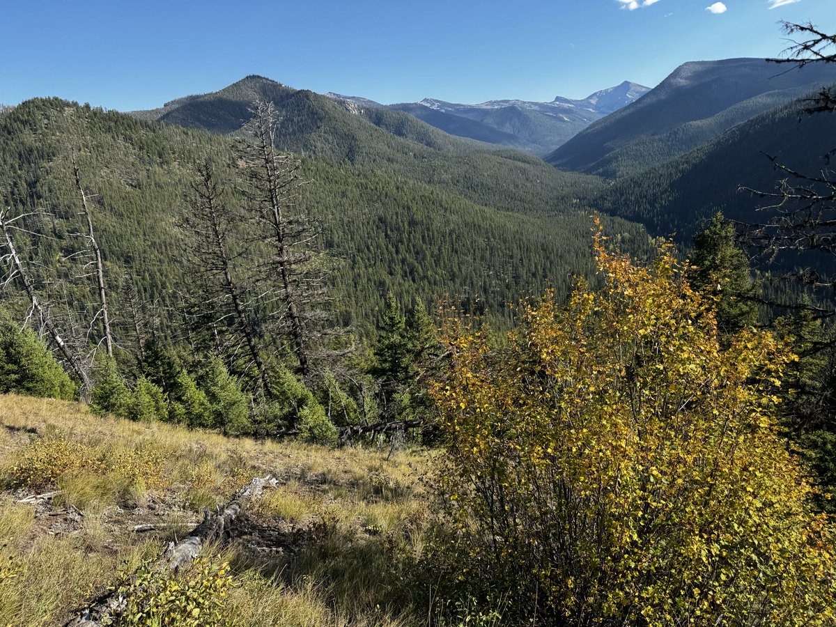 lxmarek's tweet photo. @Southern_Ghost_ It is worth the visit. Beautiful backcountry. https://t.co/201r4xhhKm