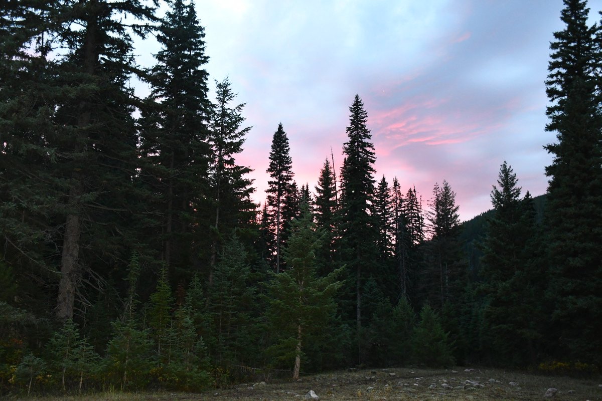 lxmarek's tweet photo. @Southern_Ghost_ It is worth the visit. Beautiful backcountry. https://t.co/201r4xhhKm
