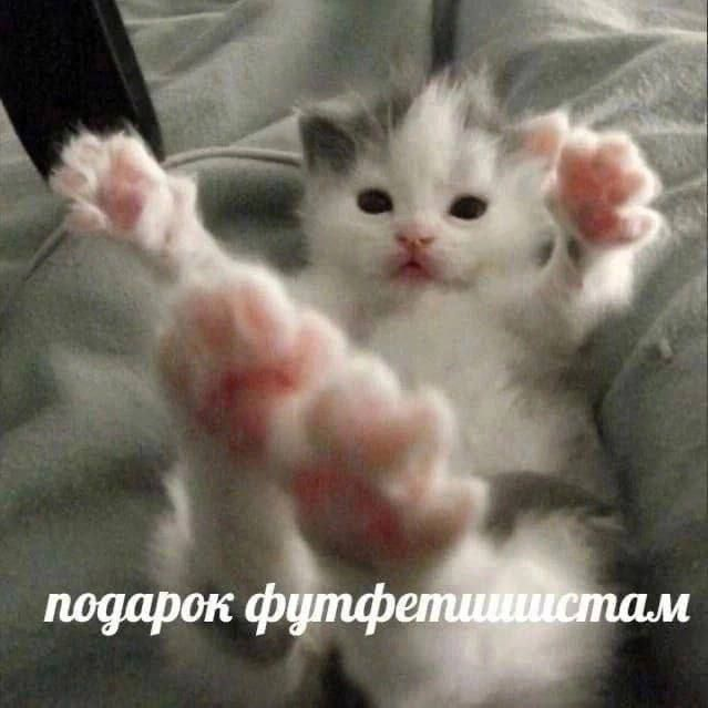 Nyan_Cat67's tweet photo. https://t.co/J9ptzUeh7M