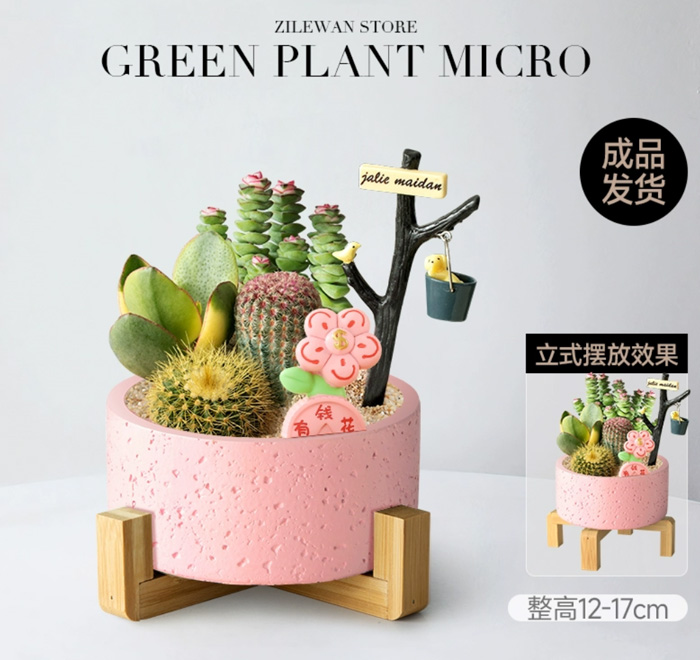 ScottGohrmt's tweet photo. Transformé una lata de metal vacía en una maceta minimalista para mis plantas  Reutilizar es genial! https://t.co/205hMFIGX4
