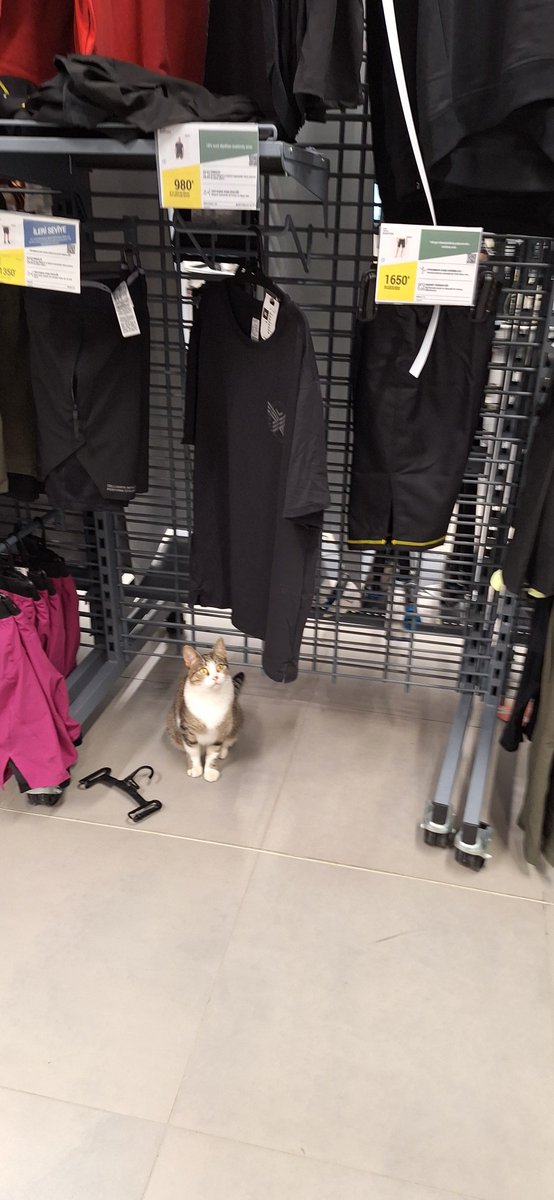 VonSeverus's tweet photo. Kimsenin ekmeğiyle oynamak istemem ama fotoğraftaki Decathlon çalışanına defalarca seslenmeme rağmen suratıma bakmadı. Utanmasa git depodan al diyecekti... https://t.co/S7vmc26PZC