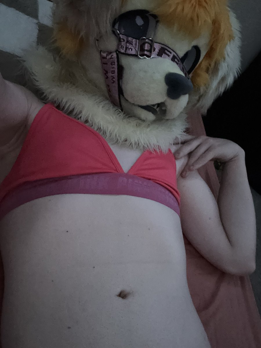 ADMaplesSyrup's tweet photo. Took these while on the phone with pookie 🤭                                          
#furryㅤㅤㅤ #femboy #fursuit https://t.co/mkOIbWpjGN