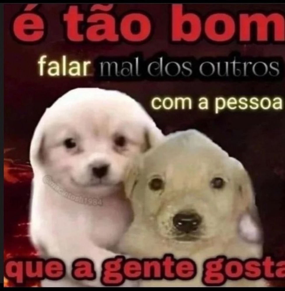 relacionemos's tweet photo. https://t.co/e2piIzZHrQ