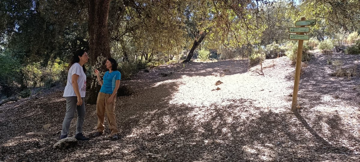 JaenJunta's tweet photo. El Parque Natural de Sierra Mágina incorpora un nuevo sendero que parte del Centro de Visitantes de Mata Bejid.

La delegada de @MedioAmbAND, @Anabmata1976, recuerda que, con esta incorporación, son ya 5 los senderos de uso público ofertados por @MedioAmbAND en este espacio. https://t.co/DE48K9Orlm