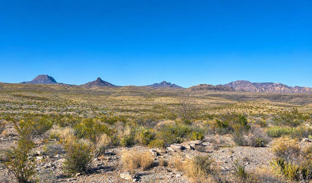 bowcore79's tweet photo. 22 unrestricted acres in Terlingua Ranch with expansive Big Bend views and access from 3 roads. $50,000. 🌵
https://t.co/g3GvYmZncM https://t.co/y6vhlLQItD
