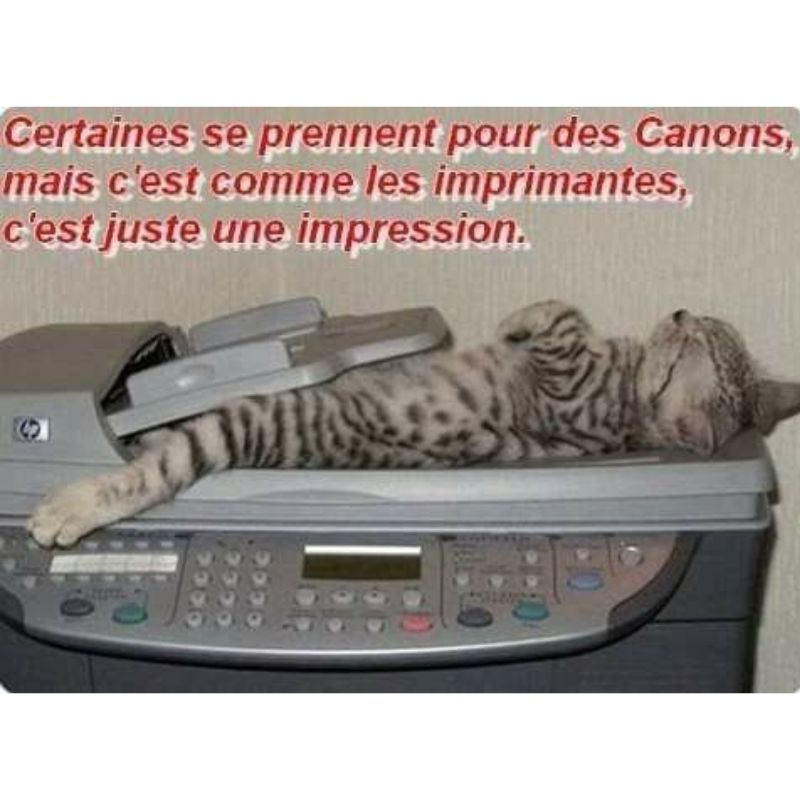 BeguinChat's tweet photo. 😂🤣😂😋
#chat #chats #chaton #chatons #funnycat #funnycats #felin #gato #gatos #gatto #minet #bouledepoil #kitten #kitty #mdr #lol #marrant #humourchat #humourchats #chatdrole #katze #rigolo #marrant https://t.co/Ue2qjWve7y