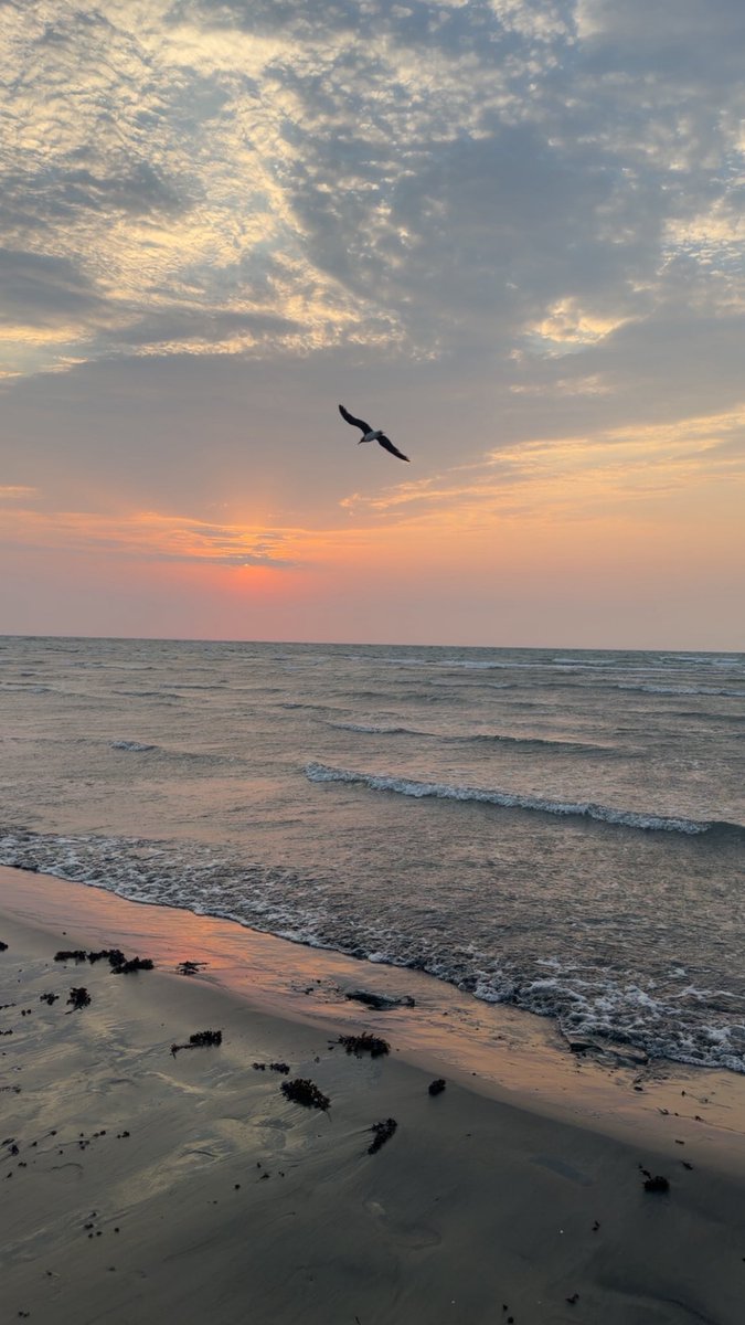 raneembaa's tweet photo. 🧘🏻‍♀️🤍 https://t.co/RAMtF1Gaxi