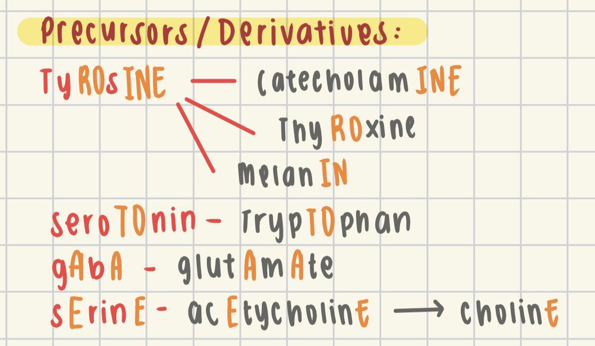fr9ncium's tweet photo. 📌 Amino Acid precursors &amp; derivatives https://t.co/03gM9CI0Kt