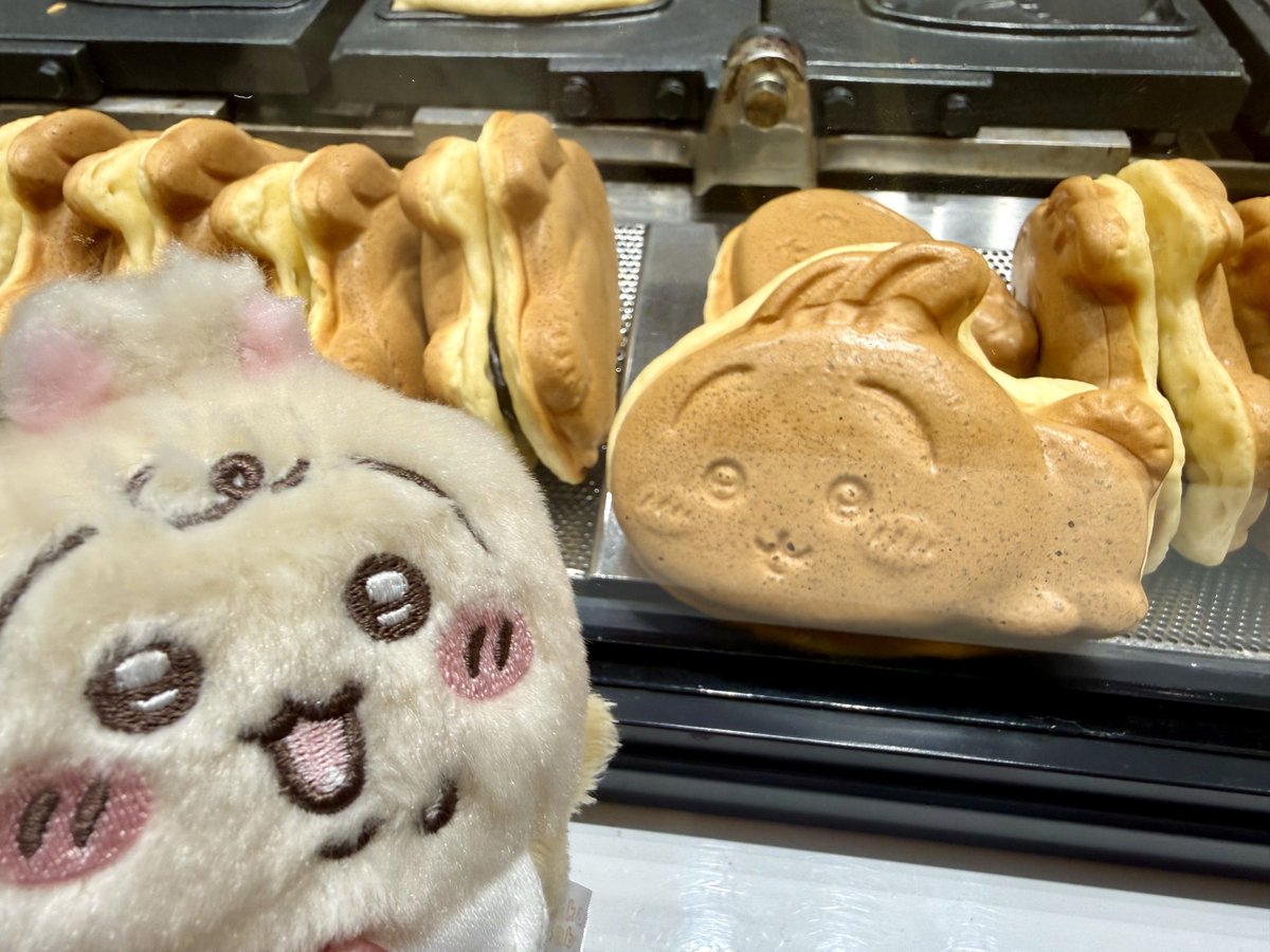 gabubu_a's tweet photo. ちいかわ焼きも買えました！！なお焼き自体は写真撮る前に食べてしまいw https://t.co/XFJWSEpzm1
