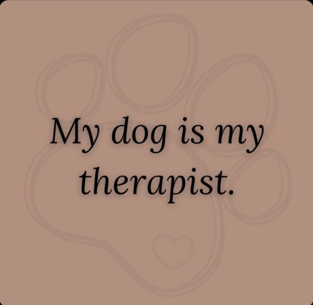 Silestokno's tweet photo. Through good days and tough ones, he’s always there. This bond is everything! 🐕💪 Come experience more amazing fun and don’t miss out! Subscribe ❤️
https://t.co/k3yeMBFg9r https://t.co/a2RB905aBn