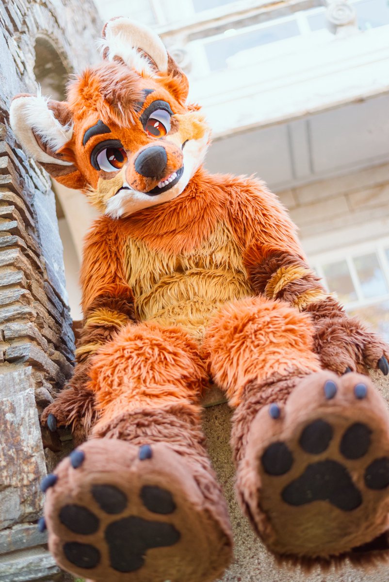 JoonNot's tweet photo. #FursuitFriday 
🦊🐾🐾
📸 @DonDon_Fur https://t.co/no0czl9mvz