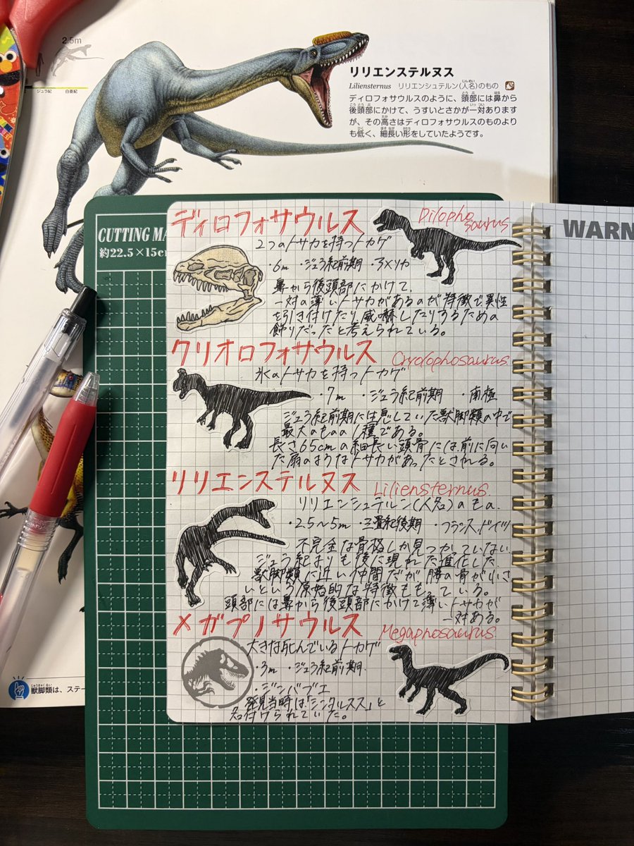 Mmtnk_4's tweet photo. 上手く描けたの嬉しくってー！ https://t.co/tMtgfNM8OW